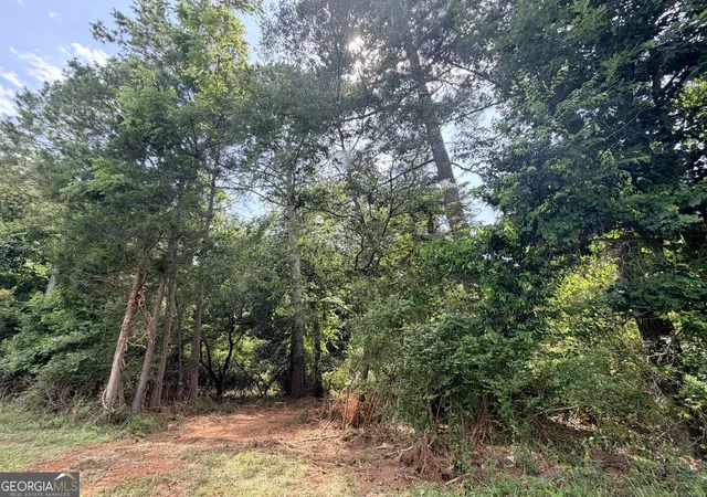 Homes for sale in Danielsville, GA | 1590 James Adams Rd, Danielsville, GA 30633 | MLS# 10797260