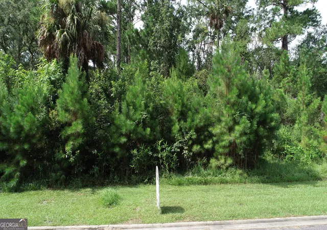Photo 4 of Land for sale at 1112 River Oaks Rd, Brunswick, GA 31523 | MLS# 10467392 | Listing updated on 2026-08-19