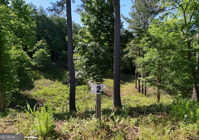 Photo 3 of Land for sale at Lot 2 Big Knoll Dr #2, Blairsville, GA 30512 | MLS# 10779883 | Listing updated on 2026-06-19