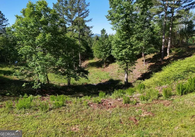 Photo 4 of Land for sale at Lot 2 Big Knoll Dr #2, Blairsville, GA 30512 | MLS# 10779883 | Listing updated on 2026-06-19