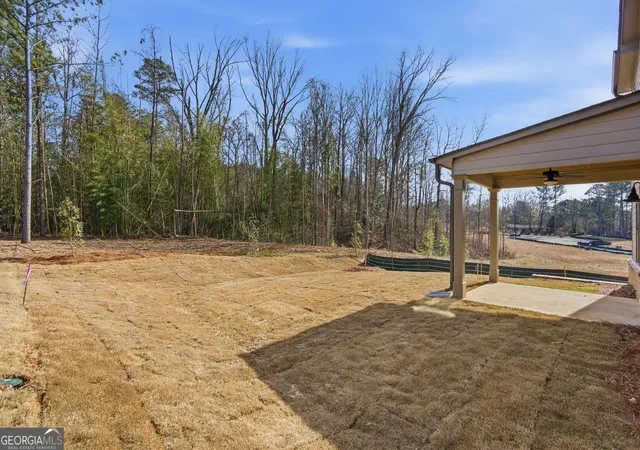 18th image of 105 Everwood Ct, Dallas, GA 30132 | MLS# 10832034