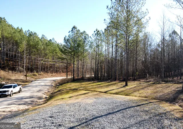 Photo 2 of Land for sale at 0 County Rd 62, Gaylesville, TN 37087 | MLS# 10442305 | Listing updated on 2026-02-11