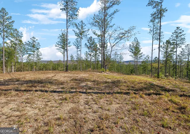 Photo 3 of Land for sale at 0 County Rd 62, Gaylesville, TN 37087 | MLS# 10442305 | Listing updated on 2026-02-11