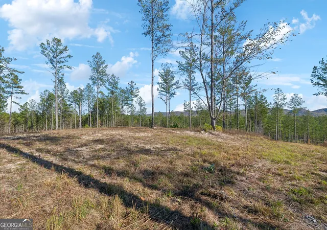Photo 3 of House for sale at 0 County Rd 62, Gaylesville, TN 37087 | MLS# 10442305 | Listing updated on 2026-02-11