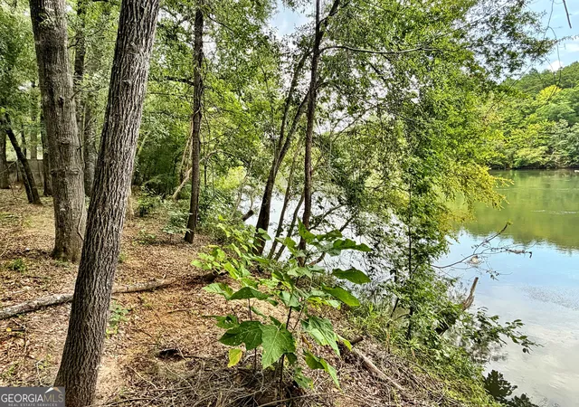 4th image of 43 Rivermist Rd Rd, Juliette, GA 31046 | MLS# 10832175