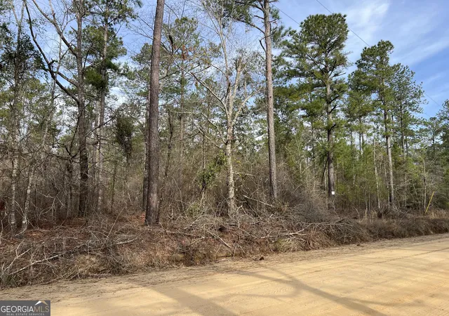 Homes for sale in Statesboro, GA | 0 Busby Rd, Statesboro, GA 30461 | MLS# 10479601