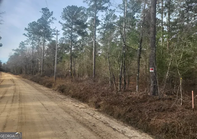 Homes for sale in Statesboro, GA | 0 Busby Rd, Statesboro, GA 30461 | MLS# 10479601