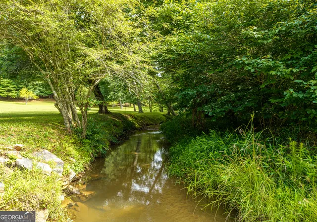 62nd image of 1347 Ivylog Dr, Blairsville, GA 30512 | MLS# 10803113