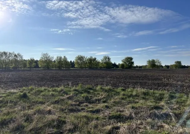 Homes for sale in Pine Island, MN | Xxxx Island Estates (site12) Dr Nw, Pine Island, MN 55963 | MLS# 5708753