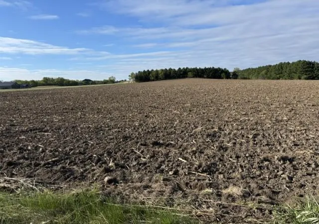 Homes for sale in Pine Island, MN | Xxxx Pine Bluff (site15) Rd Nw, Pine Island, MN 55963 | MLS# 5708794