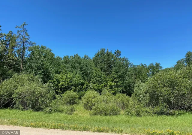 Photo 1 of Land for sale at Tbd (l11,b2) Grant Hills Rd Sw, Bemidji, MN 56601 | MLS# 5734036 | Listing updated on 2026-10-05