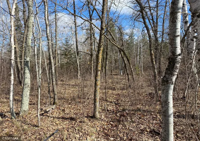Photo 2 of Land for sale at Tbd (l11,b2) Grant Hills Rd Sw, Bemidji, MN 56601 | MLS# 5734036 | Listing updated on 2026-10-05