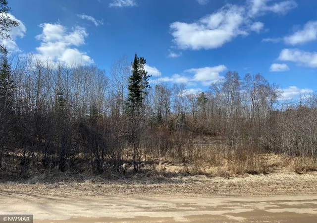 Photo 3 of Land for sale at Tbd (l11,b2) Grant Hills Rd Sw, Bemidji, MN 56601 | MLS# 5734036 | Listing updated on 2026-10-05