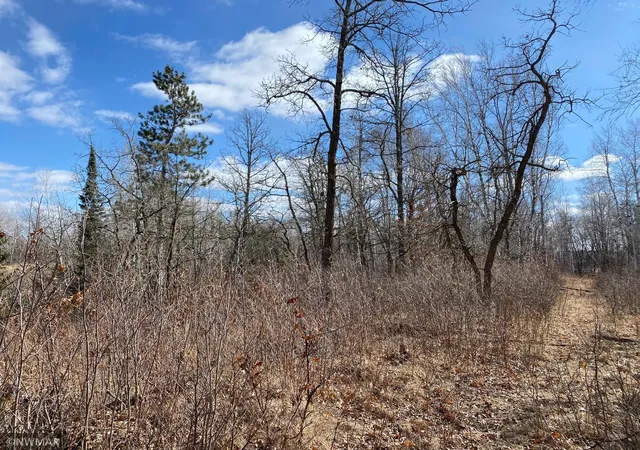 Photo 4 of Land for sale at Tbd (L11,B2) Grant Hills Rd Sw, Bemidji, MN 56601 | MLS# 5734036 | Listing updated on 2026-10-05