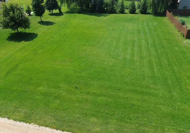 Photo 3 of Land for sale at Tbd Cedar L6b1 St, Dexter, MN 55926 | MLS# 5754785 | Listing updated on 2026-05-27