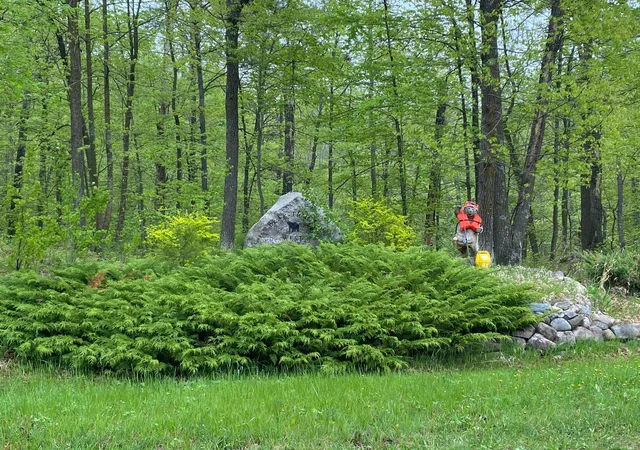 1st image of Lot 16 Bear Tract Ln Ne, Longville, MN 56655 | MLS# 5760782