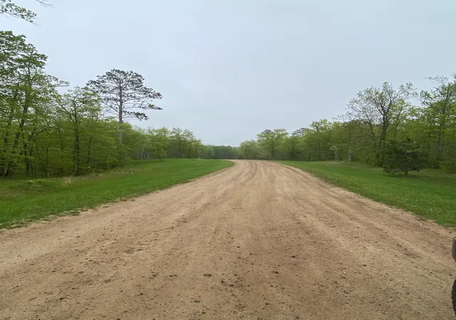 2nd image of Lot 16 Bear Tract Ln Ne, Longville, MN 56655 | MLS# 5760782