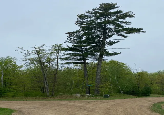 Photo 3 of Sale Pending at Lot 17 Bear Tract Ln Ne, Longville, MN 56655 | MLS# 5760785 | Listing updated on 2026-09-24