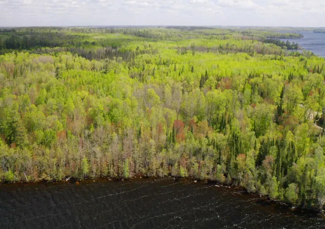 Homes for sale in Orr, MN | Parcel A S Niles Bay Forest Road, Orr, MN 55771 | MLS# 6217453