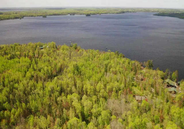 Homes for sale in Orr, MN | Parcel A S Niles Bay Forest Road, Orr, MN 55771 | MLS# 6217453