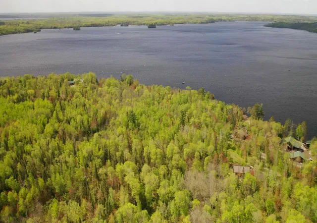 Homes for sale in Orr, MN | Parcel B S Niles Bay Forest Road, Orr, MN 55771 | MLS# 6217456