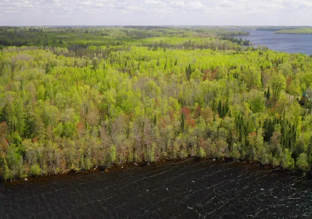 Homes for sale in Orr, MN | Parcel C S Niles Bay Forest Road, Orr, MN 55771 | MLS# 6217459