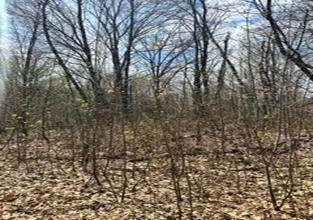 1st image of Xxx Opal Ln, Cushing, MN 56443 | MLS# 6358642