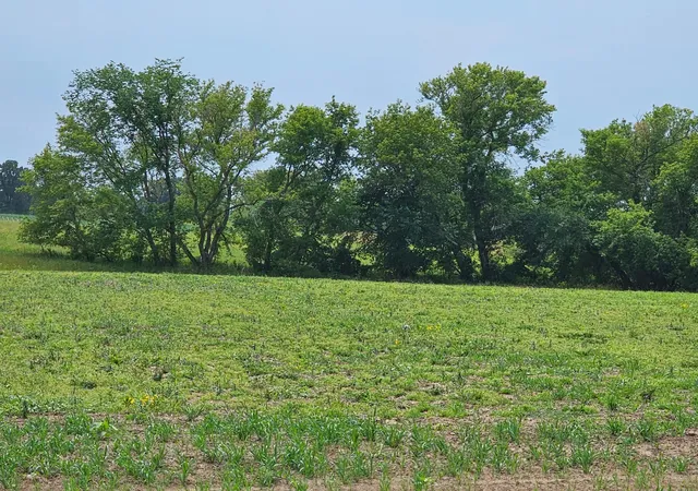 Photo 2 of Land for sale at 4421 Pagenhart Rd Sw, Rochester, MN 55902 | MLS# 6404556 | Listing updated on 2026-07-15