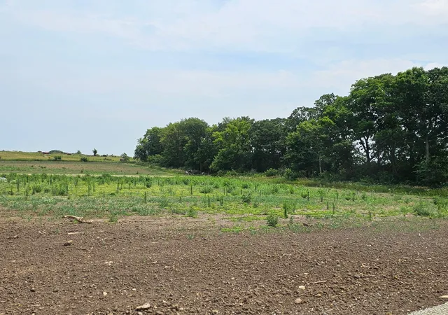 Photo 2 of Land for sale at 4496 Pagenhart Rd Sw, Rochester, MN 55902 | MLS# 6404588 | Listing updated on 2026-07-15