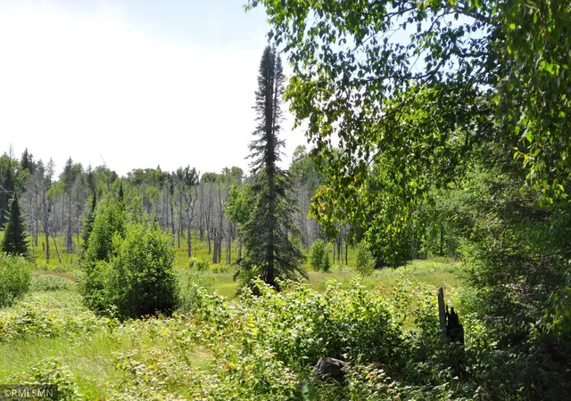 5th image of 3228 Gods Wilderness Rd, Silver Bay, MN 55614 | MLS# 6416244