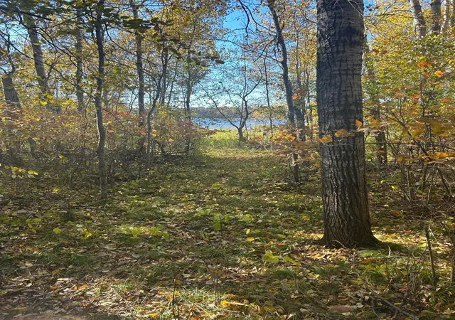 Photo 1 of Land for sale at 39xxx Osage Dr, Browerville, MN 56438 | MLS# 6457836 | Listing updated on 2026-10-11