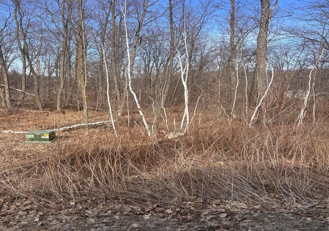 1st image of Xxx Lake Camile Rd, Cushing, MN 56443 | MLS# 6503065