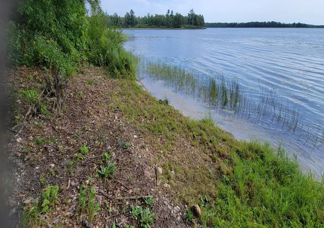 2nd image of 7280 County Road 8 Ne, Longville, MN 56655 | MLS# 6505387