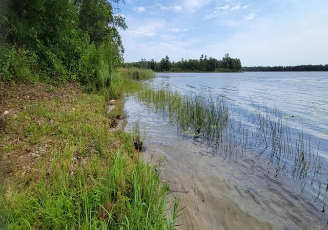 3rd image of 7280 County Road 8 Ne, Longville, MN 56655 | MLS# 6505387