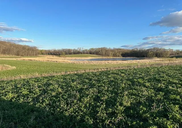 Homes for sale in Pelican Rapids, MN | Lot 3 Blk 2 Lakeway Dr, Pelican Rapids, MN 56572 | MLS# 6531368