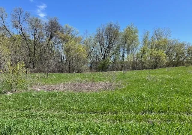 Photo 3 of Land for sale at Lot 11 Alum Trail, Grey Eagle, MN 56336 | MLS# 6532721 | Listing updated on 2026-06-24
