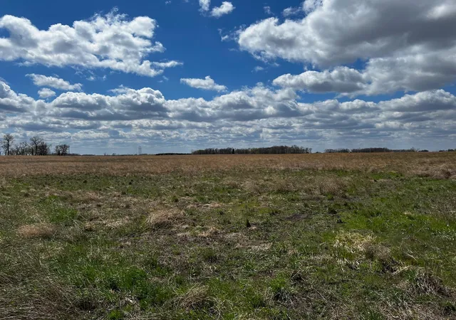 Homes for sale in Courtland, MN | 000 541St Ave, Courtland, MN 56021 | MLS# 6533604