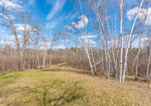 Homes for sale in Pequot Lakes, MN | Tbd   Lot 4 Hurtig Road, Pequot Lakes, MN 56472 | MLS# 6534310