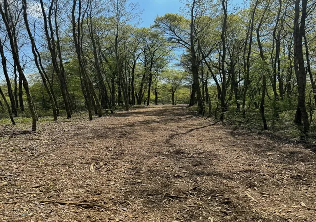 Homes for sale in Danbury, WI | Lot 12 Crystal Lake Dr, Danbury, WI 54830 | MLS# 6537602