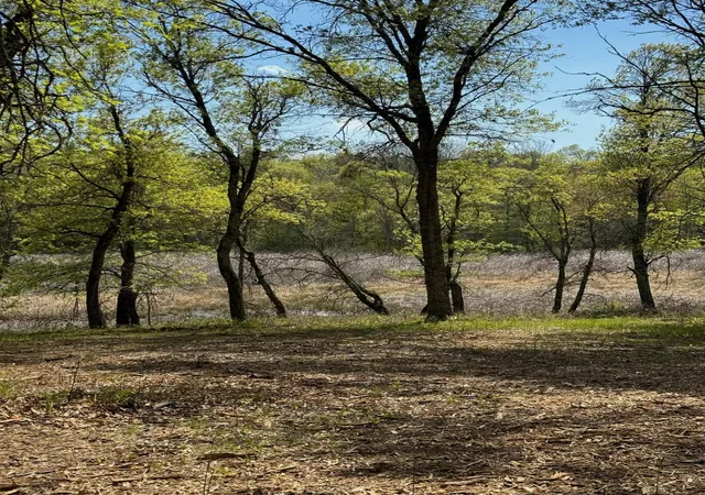 3rd image of Lot 12 Crystal Lake Dr, Danbury, WI 54830 | MLS# 6537602