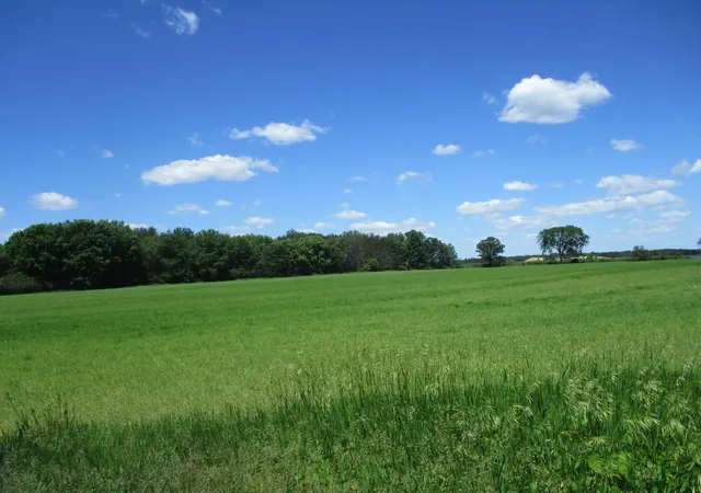 2nd image of 6822 Oneka Lake Blvd N, Hugo, MN 55038 | MLS# 6554551
