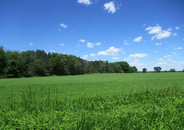 Photo 3 of Sale Pending at 6822 Oneka Lake Blvd N, Hugo, MN 55038 | MLS# 6554551 | Listing updated on 2026-10-08