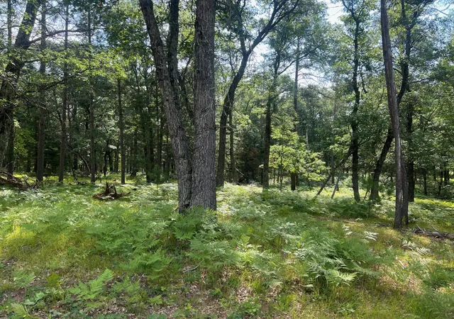 Homes for sale in Danbury, WI | Lot 207 Deerpath Ter, Danbury, WI 54830 | MLS# 6565264