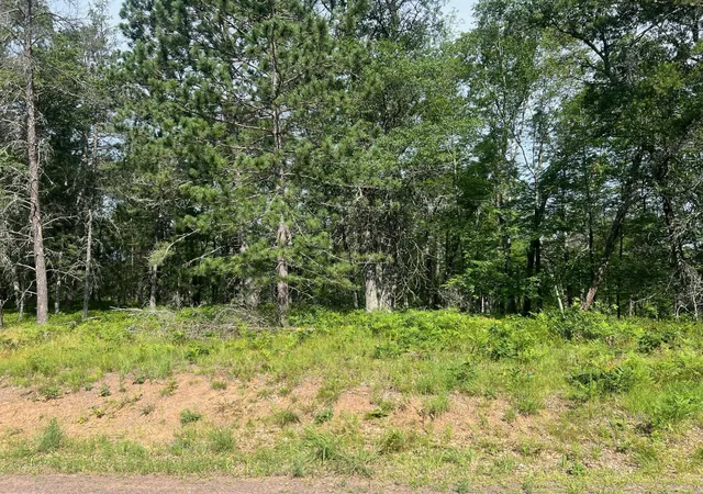Homes for sale in Danbury, WI | Lot 66 Three Mile Rd, Danbury, WI 54830 | MLS# 6566088