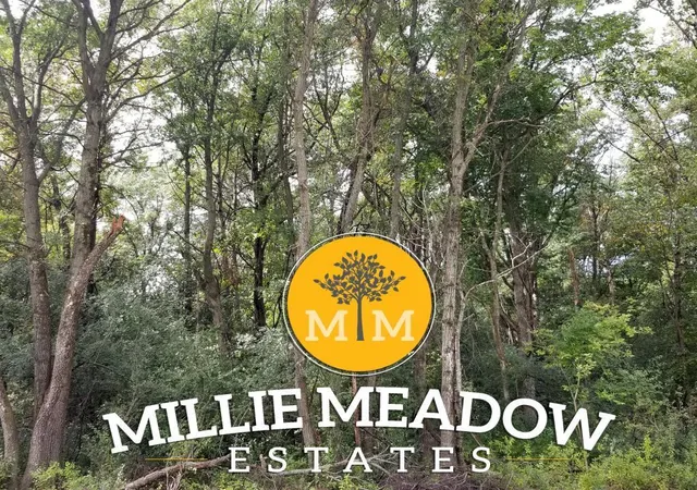 Photo 1 of Land for sale at 3541 Millie Rd Sw, Rochester, MN 55902 | MLS# 6571630 | Listing updated on 2026-07-15