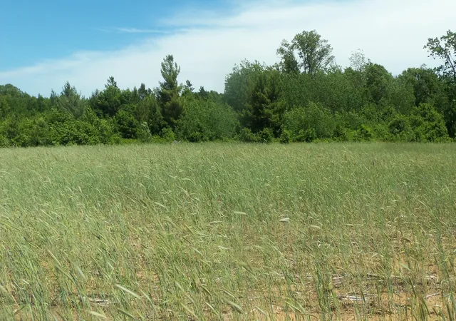 Homes for sale in Siren, WI | Lot 18 Maple Ln, Siren, WI 54872 | MLS# 6580602