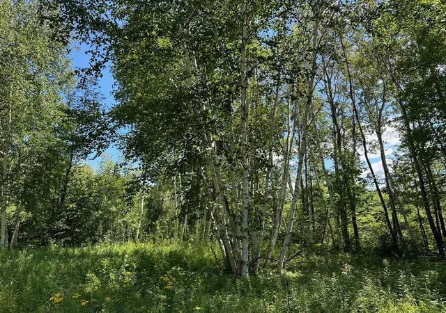 1st image of Tbd Nokay Hall Rd, Brainerd, MN 56401 | MLS# 6585459