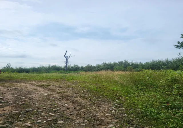 4th image of Tbd Nokay Hall Rd, Brainerd, MN 56401 | MLS# 6585459