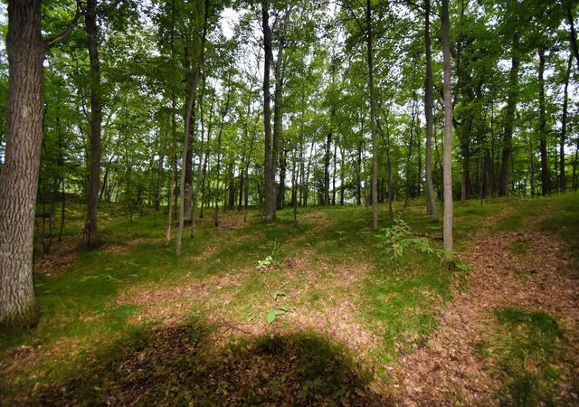 1st image of Tbd Osceola Circle, Pequot Lakes, MN 56472 | MLS# 6591189