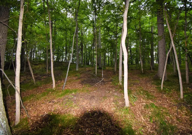 4th image of Tbd Osceola Circle, Pequot Lakes, MN 56472 | MLS# 6591189